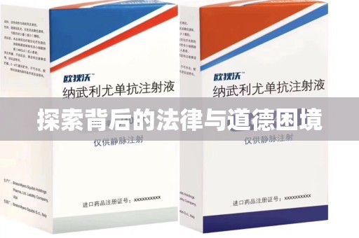 商丘探索背后的法律与道德困境