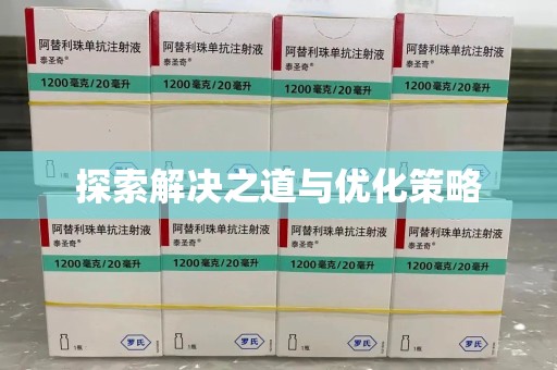 商丘探索解决之道与优化策略