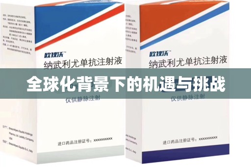 商丘全球化背景下的机遇与挑战