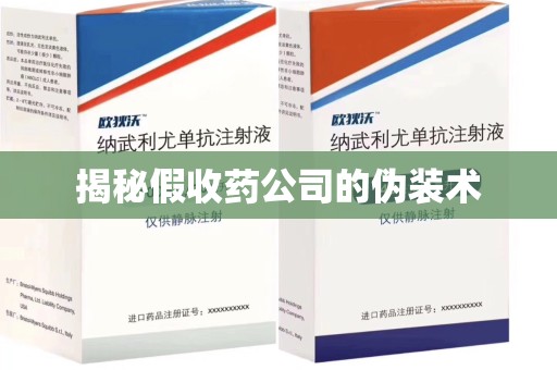 商丘揭秘假收药公司的伪装术