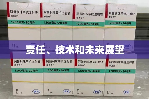 商丘责任、技术和未来展望
