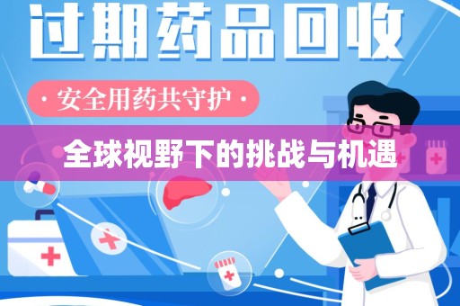商丘全球视野下的挑战与机遇