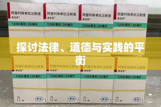商丘探讨法律、道德与实践的平衡