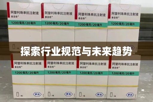商丘探索行业规范与未来趋势