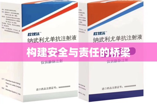 商丘构建安全与责任的桥梁