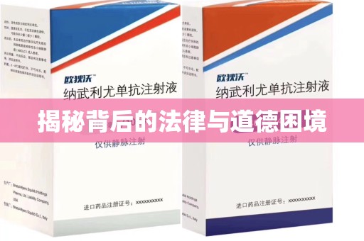 商丘揭秘背后的法律与道德困境