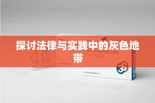 商丘探讨法律与实践中的灰色地带